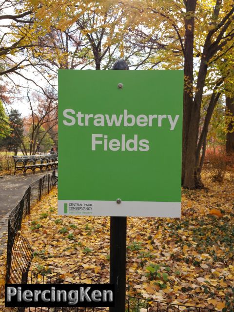 strawberryfields_120315_01