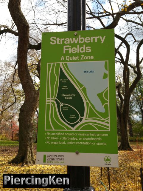 strawberryfields_120315_02