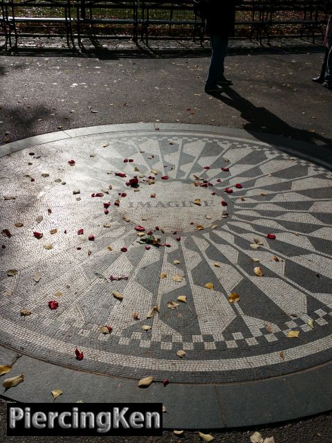 strawberryfields_120315_03