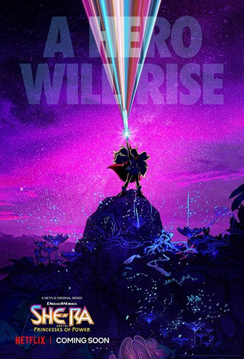 television posters, promotional posters, netflix, netflix original, dreamworks, dreamworks animation television, she-ra, she-ra and the princesses of power