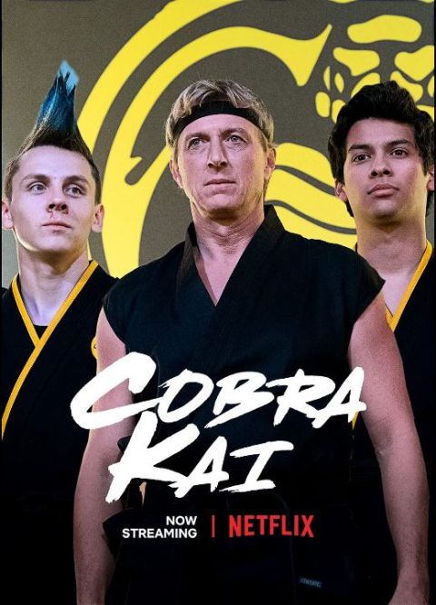 television posters, promotional posters, netflix original, cobra kai, cobra kai posters