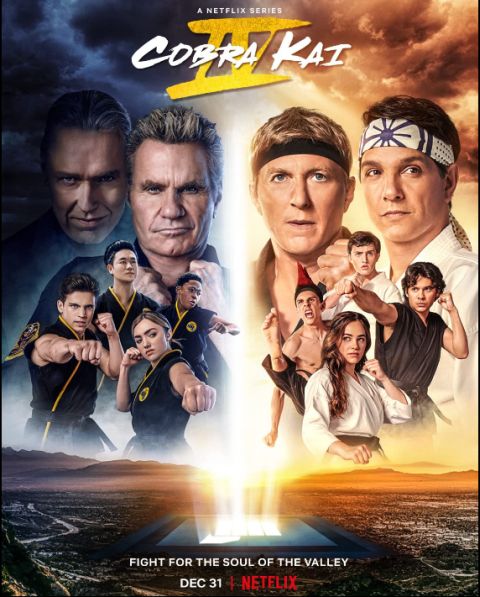 television posters, promotional posters, netflix original, cobra kai, cobra kai posters